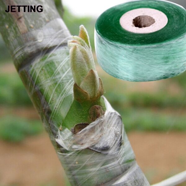 2CM x 100M / 1 Roll Grafting Tape Garden Tools Fruit Trees Secateurs Graft Branch Gardening bind belt PVC Tie Tape - Image 2